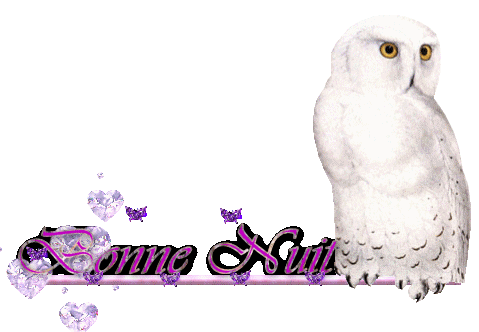 bonne nuit