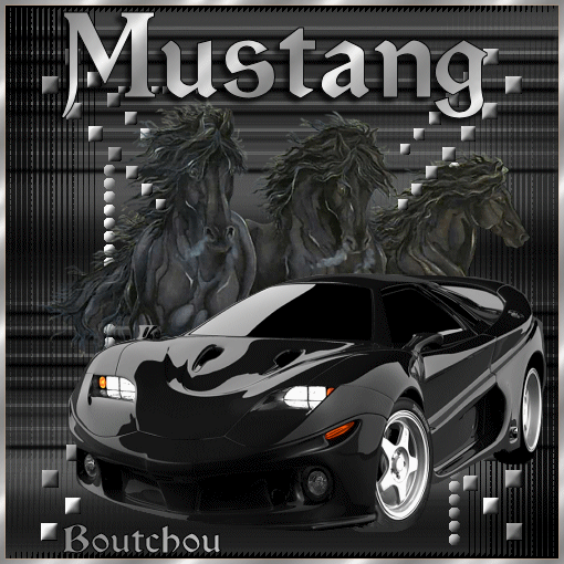 mustang